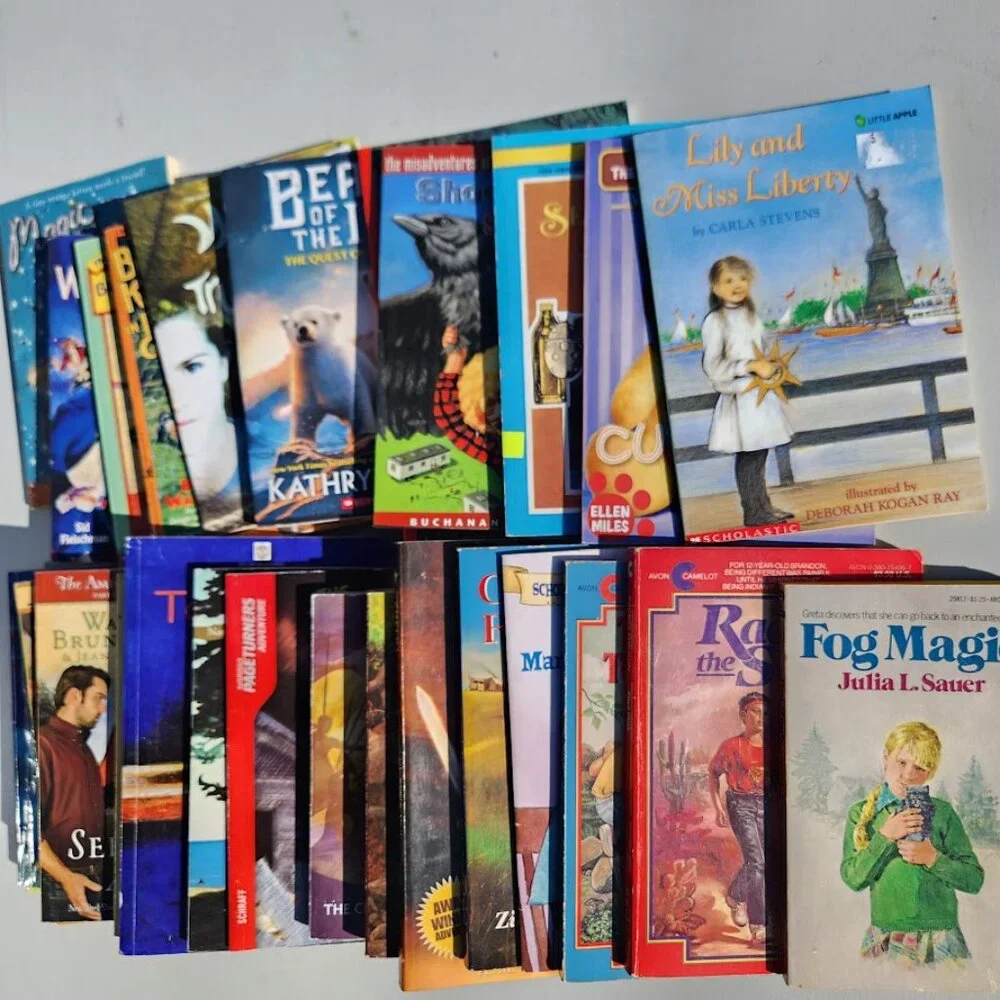 4 Book Bundle Lot Set Chapter Books Young Adult Literature Novels Mystery Books